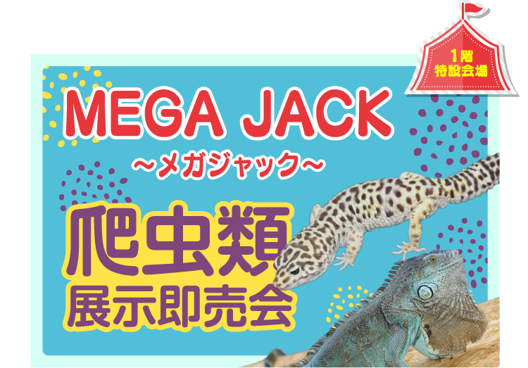 1階特設会場 | MEGA JACK 〜メガジャック〜　爬虫類展示即売会