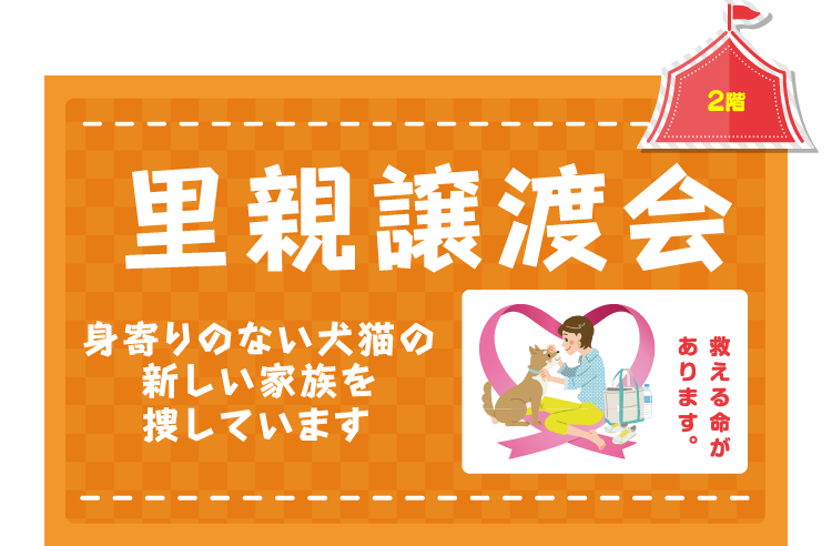 2階 | 里親譲渡会 身寄りのない犬猫の新しい家族を探しています